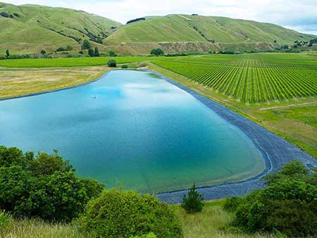 Turkey Dam type in the Wairarapa region